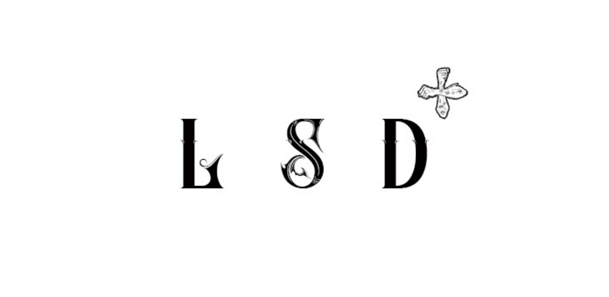 LSDPLUS